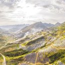 국○○ 태양광발전소 이미지