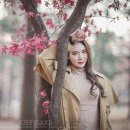 김서하 카카오 검색결과
