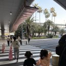 개미세탁소 | 3월 아이랑 제주도 2박3일 서쪽 여행 코스 총정리 | 아이랑 가볼 만한 곳 추천