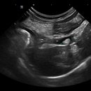 Dr.오즈동물병원 이미지