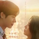 오늘밤 - 해남군 | 오늘밤