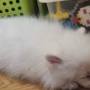 이앤박동물병원 이미지