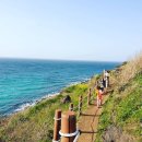 함덕하나로약국 이미지