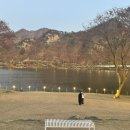 브리끄