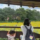 여명막국수 이미지