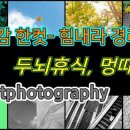 이태원 경리단길 공감 이미지