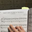 대상체르니 이미지