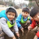 서낭당공원 Daum카페