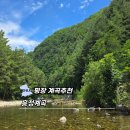 그늘막126 | 취사 가능한 강원도평창 흥정계곡 평상부터 주차까지 후기