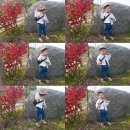 지혁목장 | 양평여행 :: 양평양떼목장 아기랑가볼만한곳 최고 강 추예용 !!!