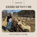 나뱅이길 | 강원도 영월 달빛동물원에서 아기랑 동물 먹이주기 체험