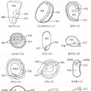 종자기능사 2차 필답 이미지