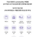 지엘 핏 이미지