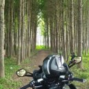 군위댐야영장 이미지