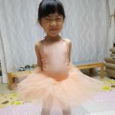 지은코사마트 | 우리공주 발레하고싶대요~유아발레복_성인발레복_구입은 이발레샵에서~^^
