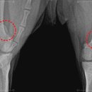 양산동물메디컬센터 이미지