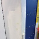 스타독스 | 강서 스타독스 강아지가 물어뜯은 벽 복원, 감쪽같은 인테리어필름 시공 후기