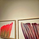 나우로데오 이미지