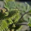 인간+자연 이미지