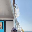 영복1호 이미지