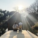 연지가든 | 2만 5천 평 걷고 '배지' 하나? 그래도 후회 없는 제주 스누피 가든 (할인 꿀팁 포함!)