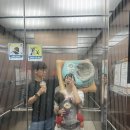 뽑기대박 | D+287, 10개월 아기와 첫 가평 여행! 키즈풀빌라 후기 (+실내코스 추천) 2박3일 코스 총정리