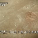 대성수육국밥 이미지