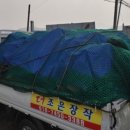 무릉도원면-3 이미지