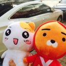 픽미뽑기 이미지