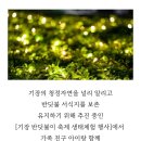 24년6월 지역사회연계~기장행사 이미지