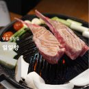 일일양꼬치 | 동탄 양갈비 베스트 일일양 동탄점 후기 리베라cc 맛집으로도 추천