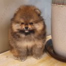 골든캐슬 쇼룸 이미지