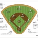 야구는 수비부터"-수비포지션의 위치 이해하기(2)외야 이미지