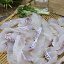 사이룩스 | 강남구 해산물 맛집 - 수서역 가성비 오마카세 전문점 '계절집' 막회 후기