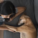 리베동물메디컬센터 이미지