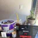 109 | 대전 유성 궁동 중식 맛집 딤섬관 내돈내산 후기 크리스피창펀 샤오롱바오 싱가폴 칠리새우