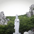 무림약국 이미지