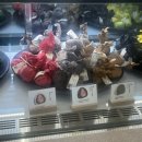 팔구마카롱 | [내돈내산후기] 라부부 마카롱 세트 구매후기