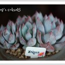 현정농장 이미지