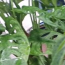 엘투치과의원 이미지