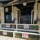 맛기행사계절 | 사당동 샤브샤브 맛집 기력 충전 할 수 있는 맛기행사계절