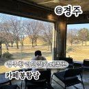 대릉원 | 경주황리단길카페추천 대릉원 뷰 카페 봉황당 후기