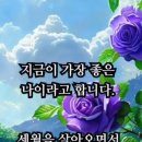 제주도 의 푸른밤! 이미지