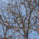 원준농장 이미지