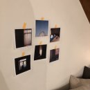 누에보디아 이미지