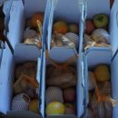 나운어린이집 이미지