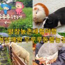 청성농장 이미지