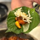 양화로 | 합정역 맛집 추천! 양화로 1984 합정본점 쭈꾸미삼겹살 솔직후기