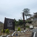 도래재로 | 밀양펜션 추천, 자연 속 힐링 공간 캠핑도래 펜션 후기