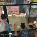 리틀히어로ZOO 이미지